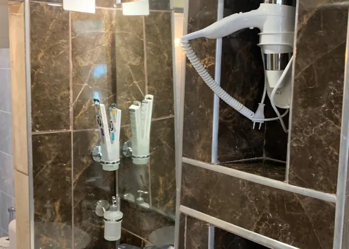 公寓 Bogumila 米利尼