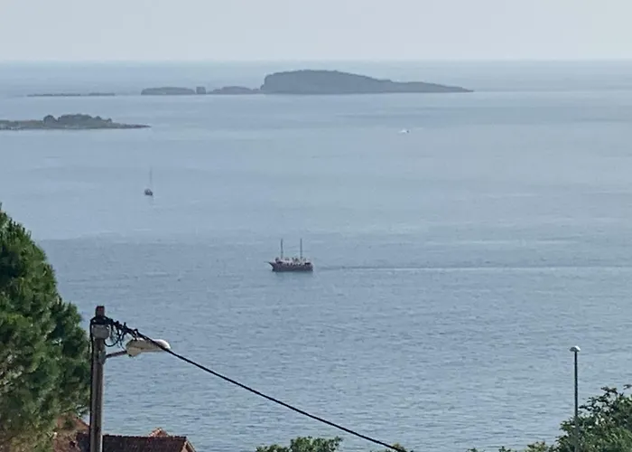 公寓 Bogumila 米利尼